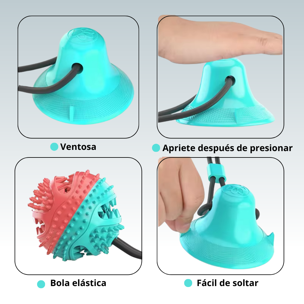 PowerBall™ – La pelota con ventosa que desafía la energía de tu perro